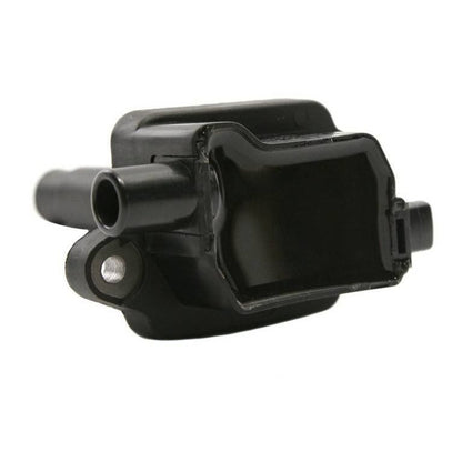 Delphi Ignition Coil GN10228