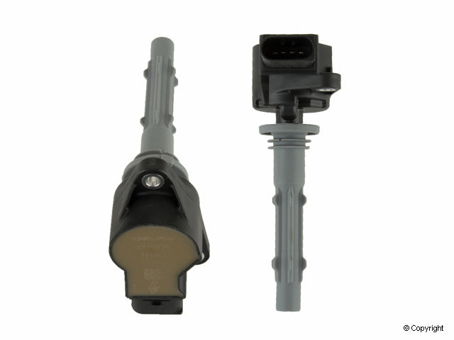 Delphi Ignition Coil GN10235