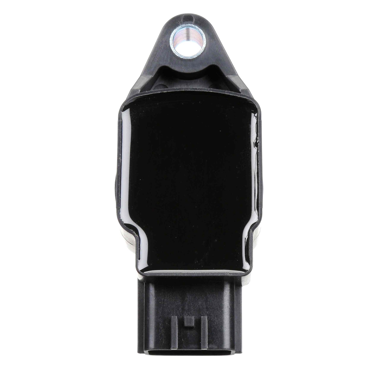 Delphi Ignition Coil GN10244