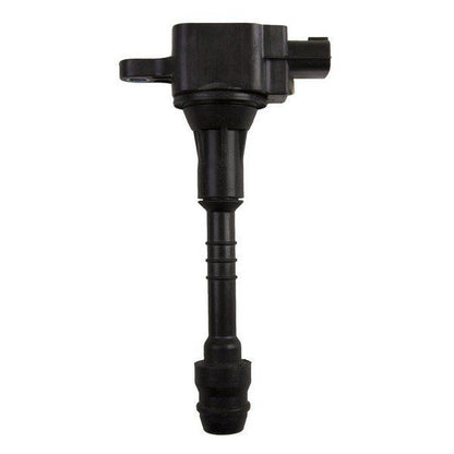Delphi Ignition Coil GN10250