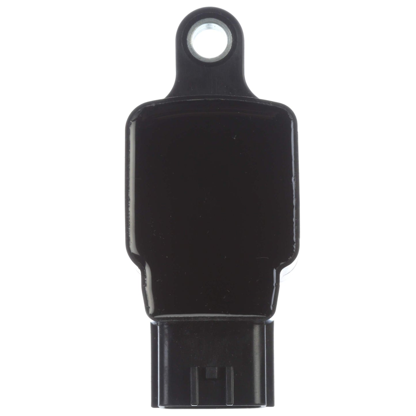 Delphi Ignition Coil GN10250