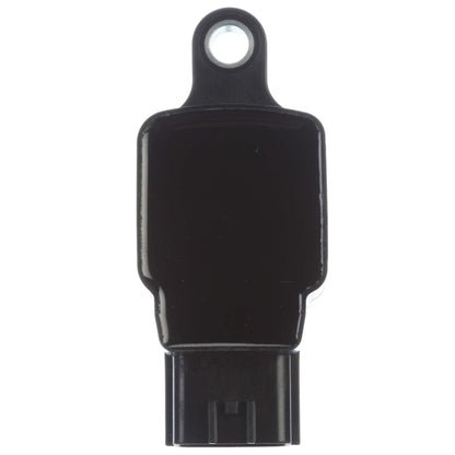 Delphi Ignition Coil GN10250