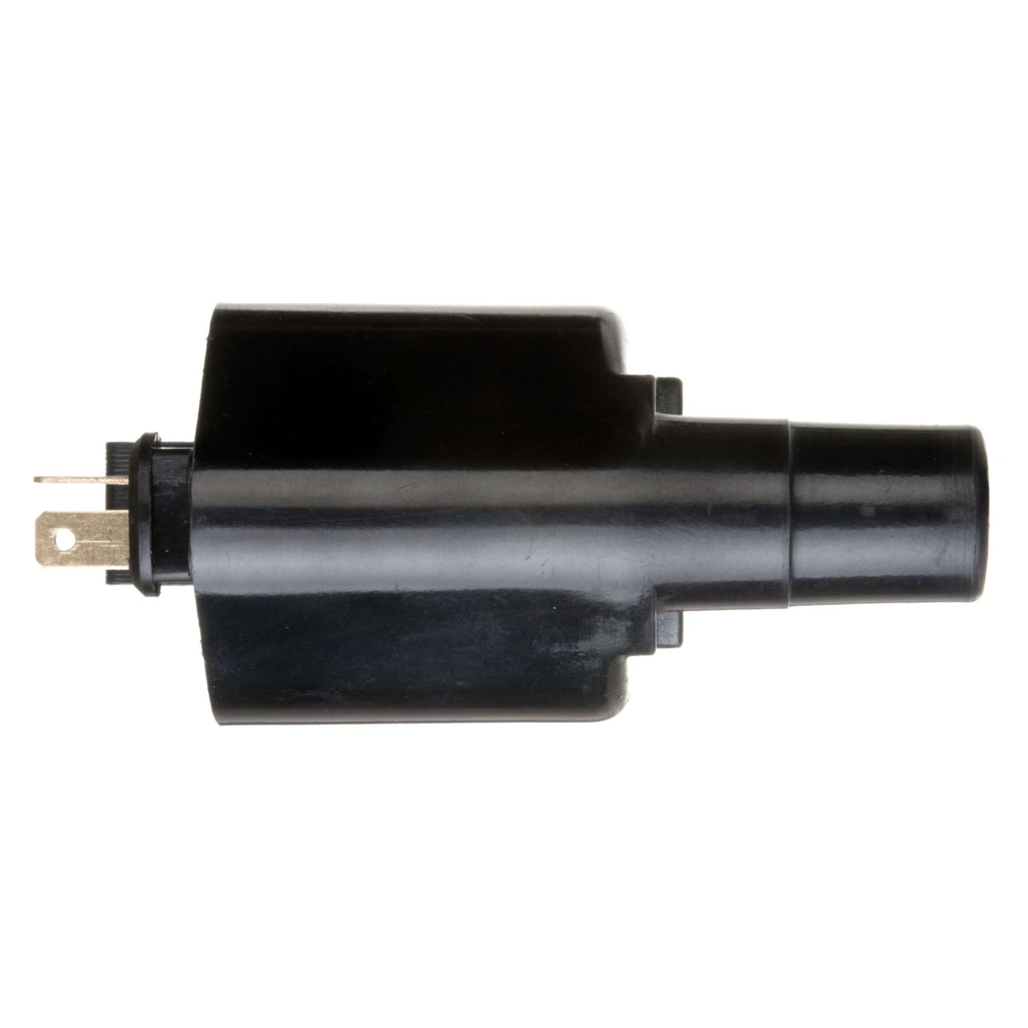 Delphi Ignition Coil GN10291