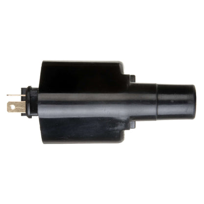 Delphi Ignition Coil GN10291