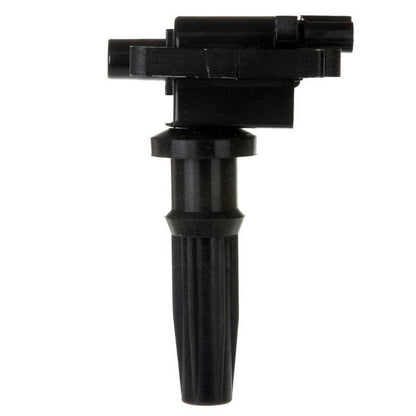 Delphi Ignition Coil GN10303