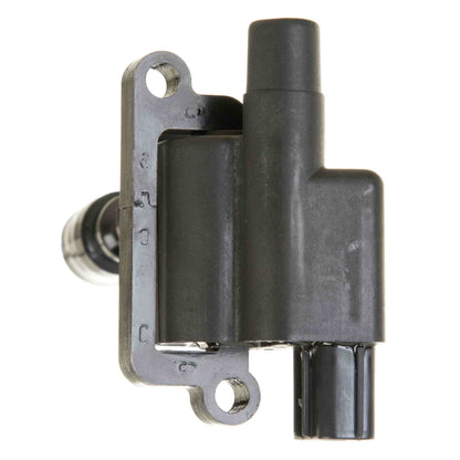 Delphi Ignition Coil GN10304