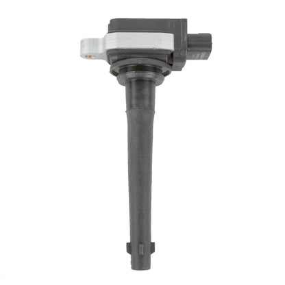 Delphi Ignition Coil GN10325