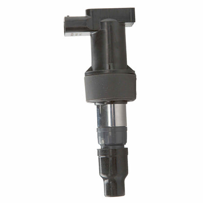 Delphi Ignition Coil GN10327