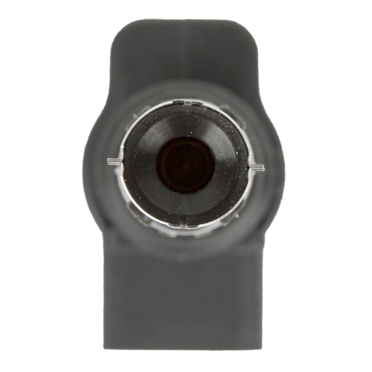 Delphi Ignition Coil GN10345