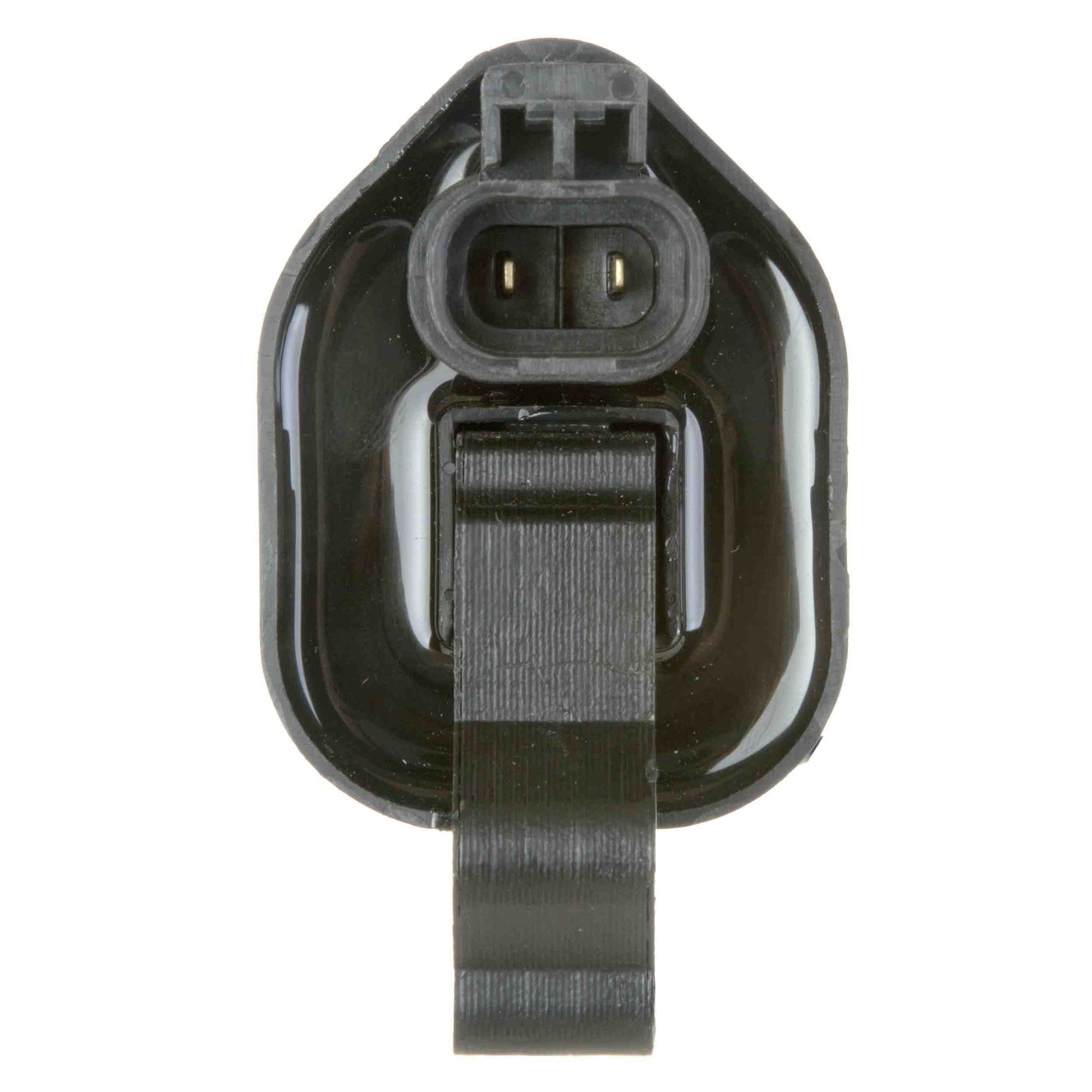 Delphi Ignition Coil GN10349