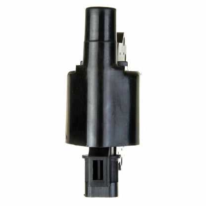 Delphi Ignition Coil GN10349