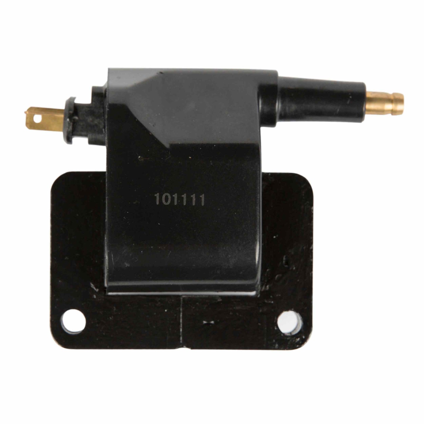 Delphi Ignition Coil GN10359