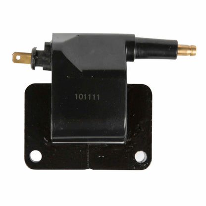 Delphi Ignition Coil GN10359
