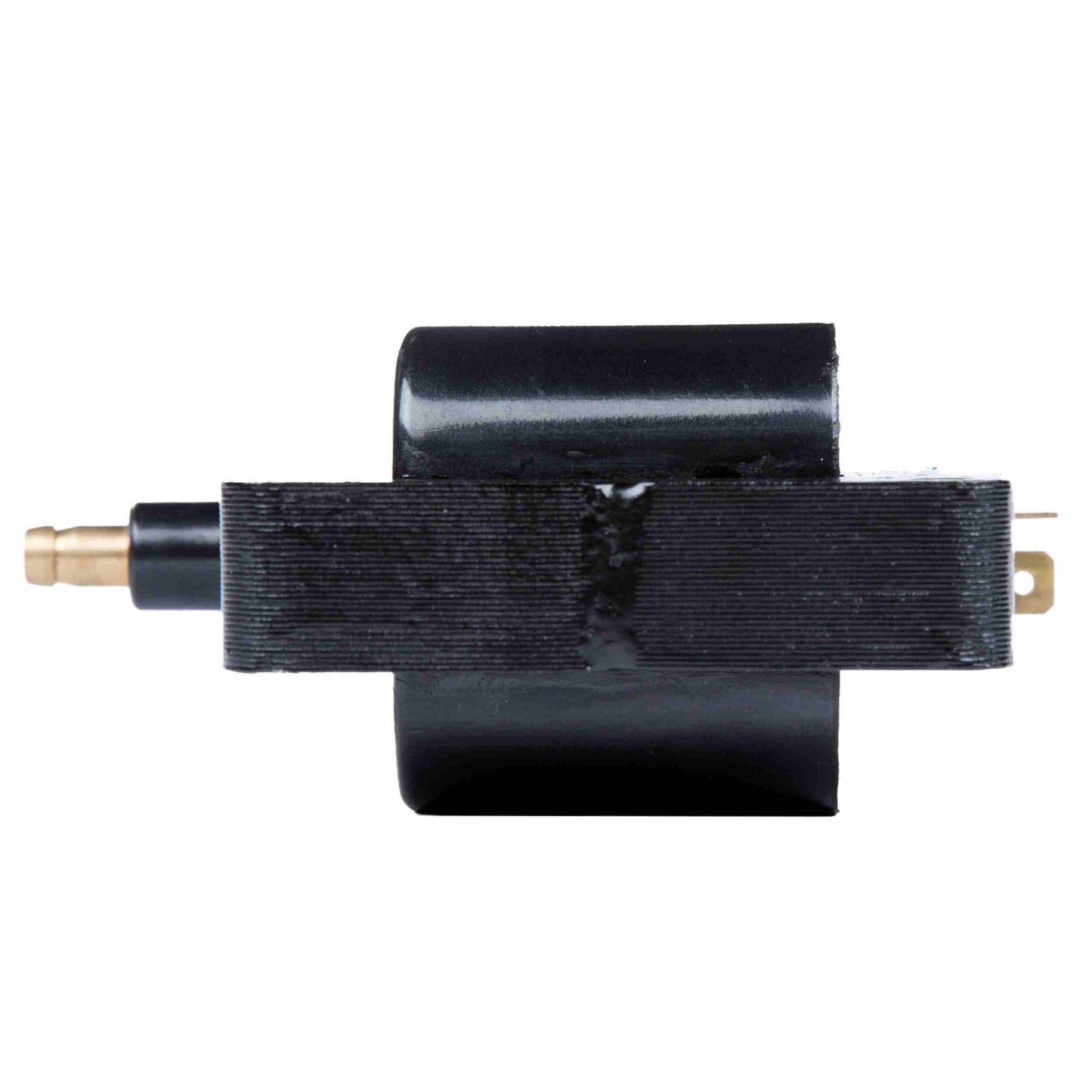 Delphi Ignition Coil GN10359