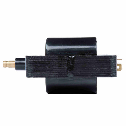 Delphi Ignition Coil GN10359