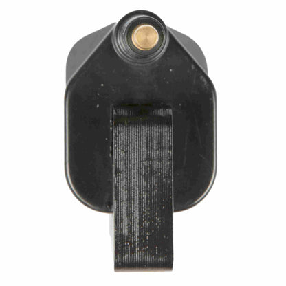 Delphi Ignition Coil GN10359