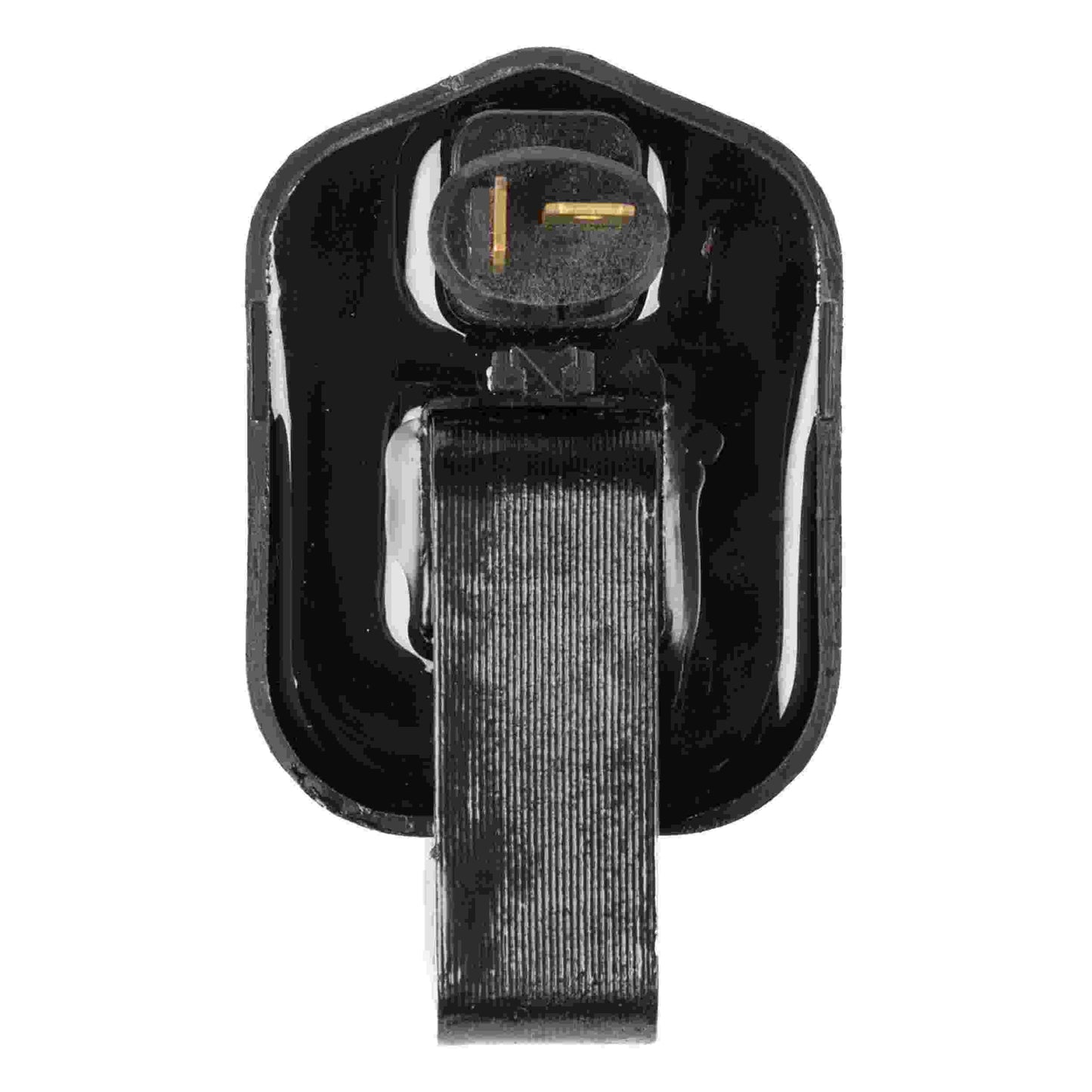 Delphi Ignition Coil GN10359