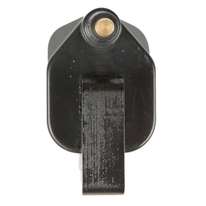 Delphi Ignition Coil GN10359