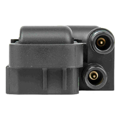 Delphi Ignition Coil GN10361