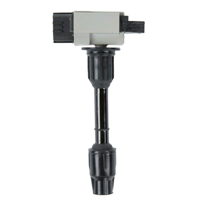 Delphi Ignition Coil GN10377