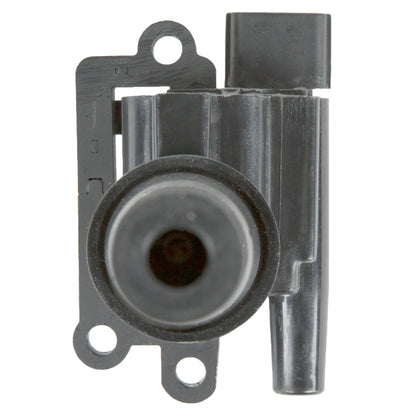 Delphi Ignition Coil GN10385