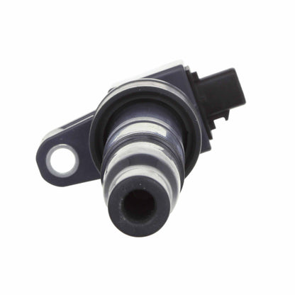 Delphi Ignition Coil GN10560