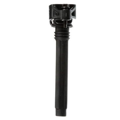 Delphi Ignition Coil GN10616