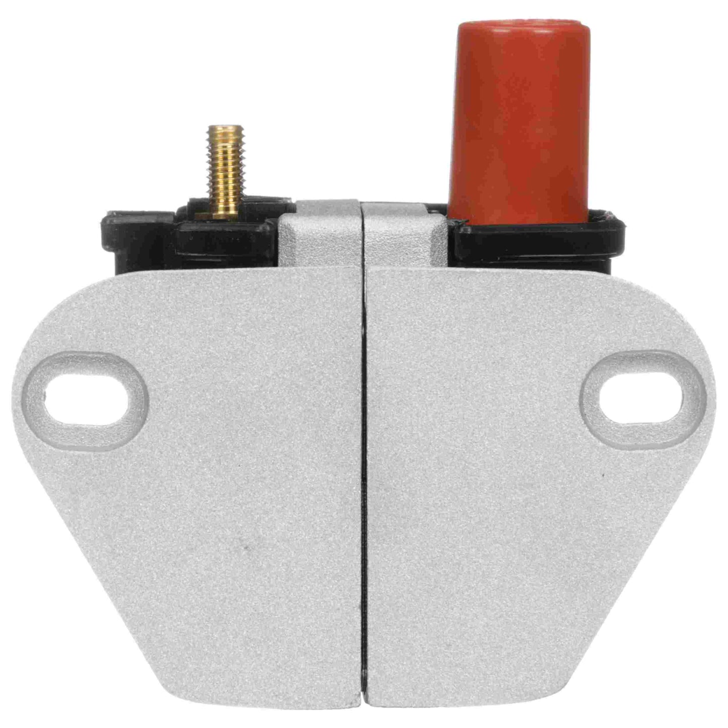 Delphi Ignition Coil GN10845
