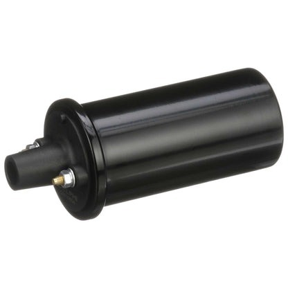 Delphi Ignition Coil GN10854
