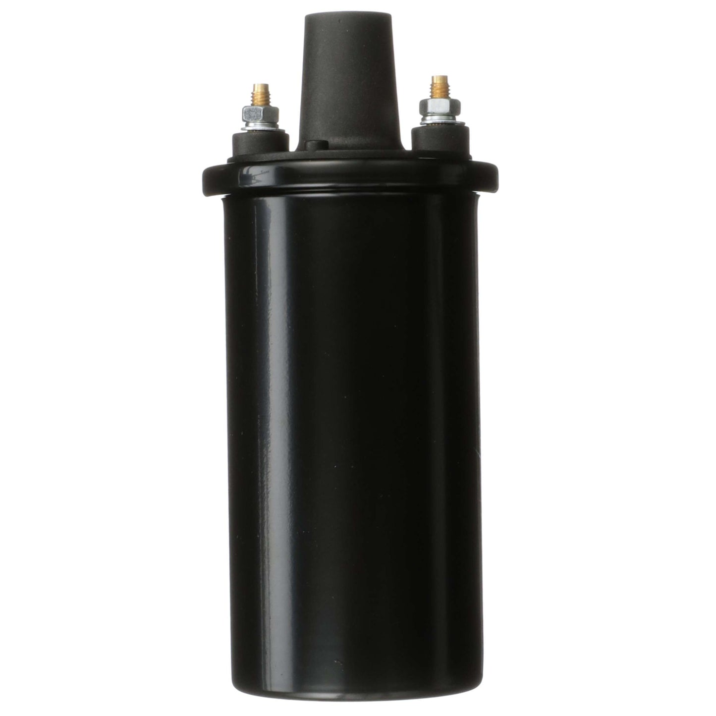 Delphi Ignition Coil GN10854