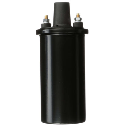Delphi Ignition Coil GN10854