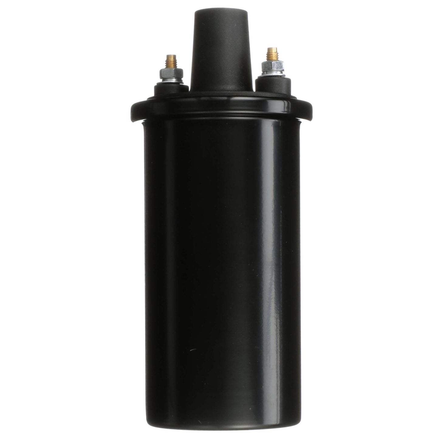 Delphi Ignition Coil GN10854