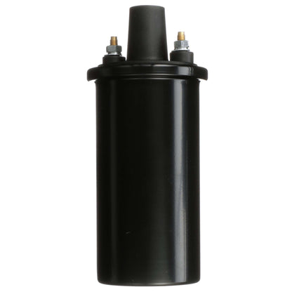 Delphi Ignition Coil GN10854