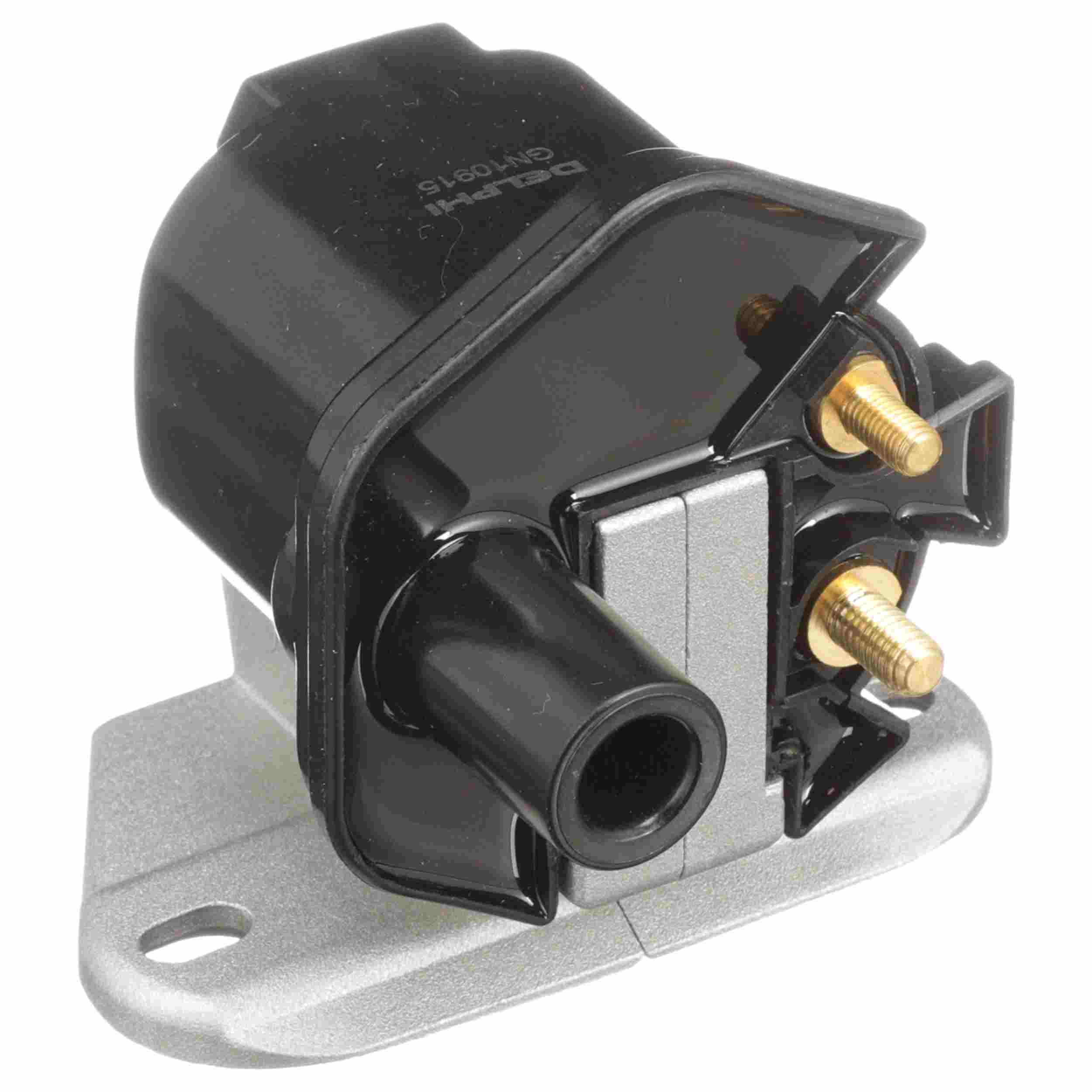 Delphi Ignition Coil GN10915
