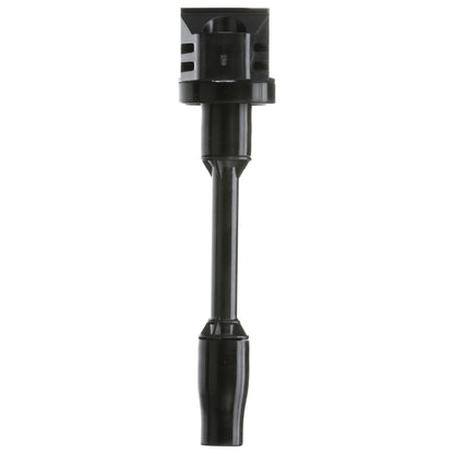 Delphi Ignition Coil GN10960