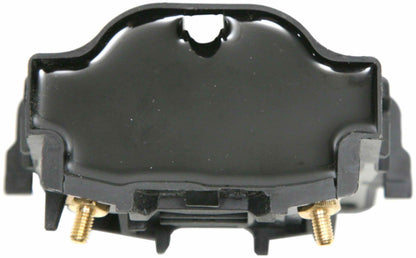 Delphi Ignition Coil GN10982