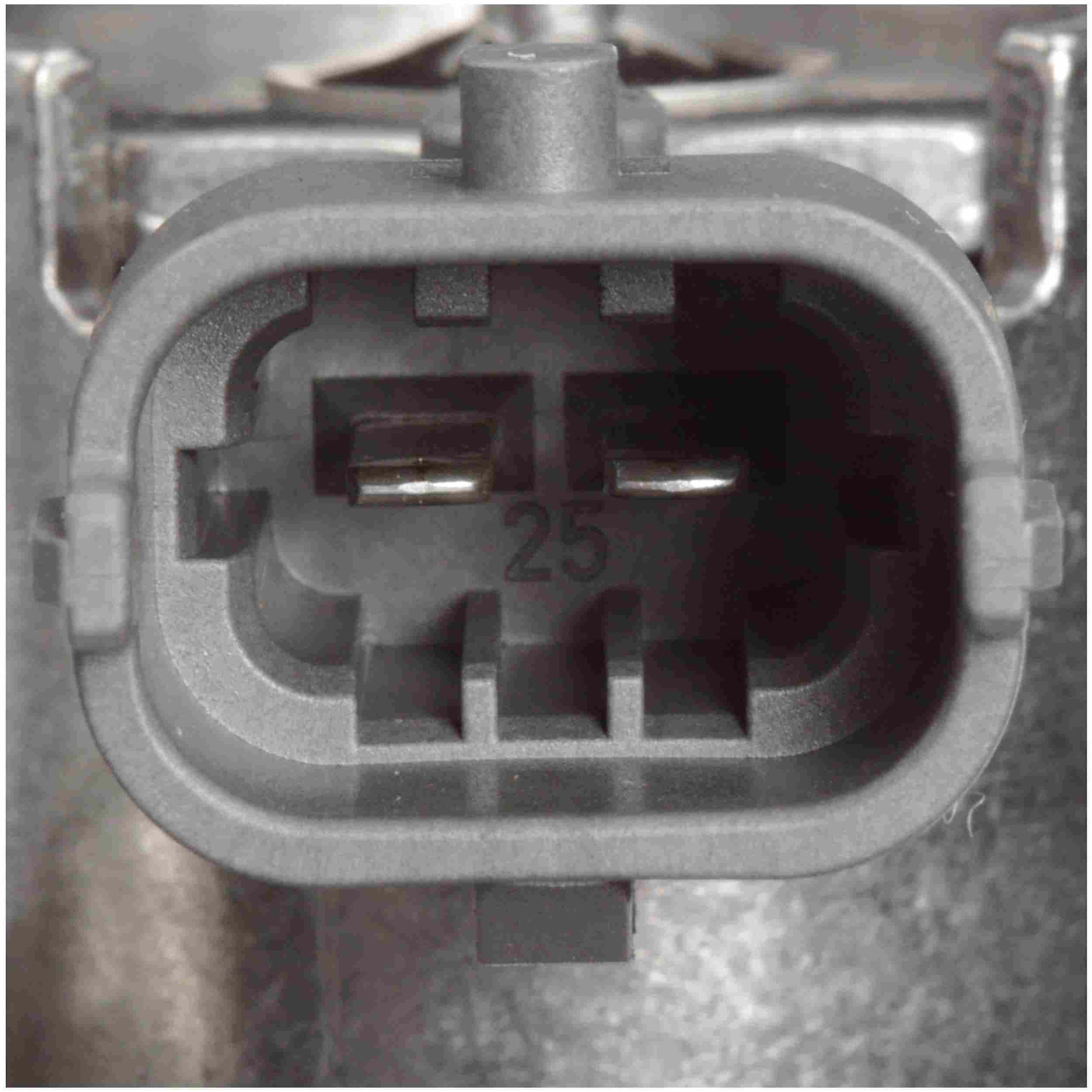 Delphi Direct Injection High Pressure Fuel Pump HM10016