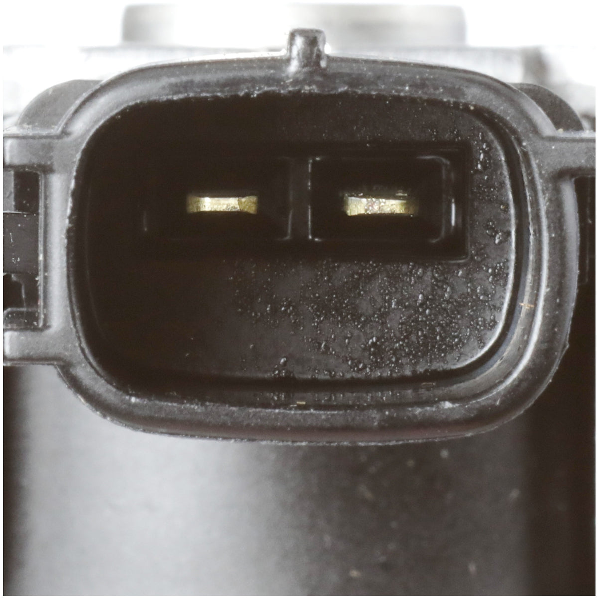 Delphi Direct Injection High Pressure Fuel Pump HM10100