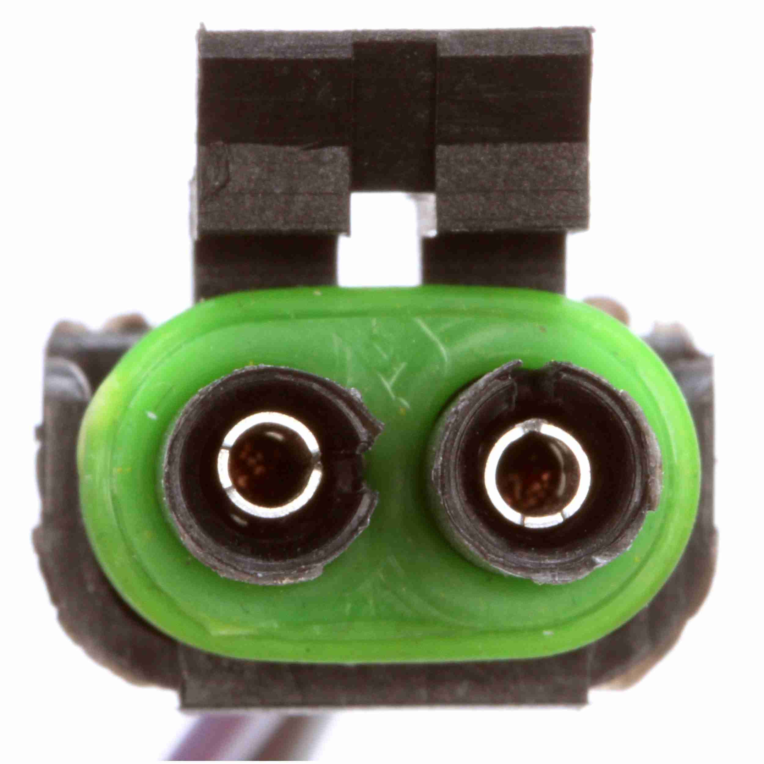 Delphi Fuel Pump Hanger Assembly HP10007