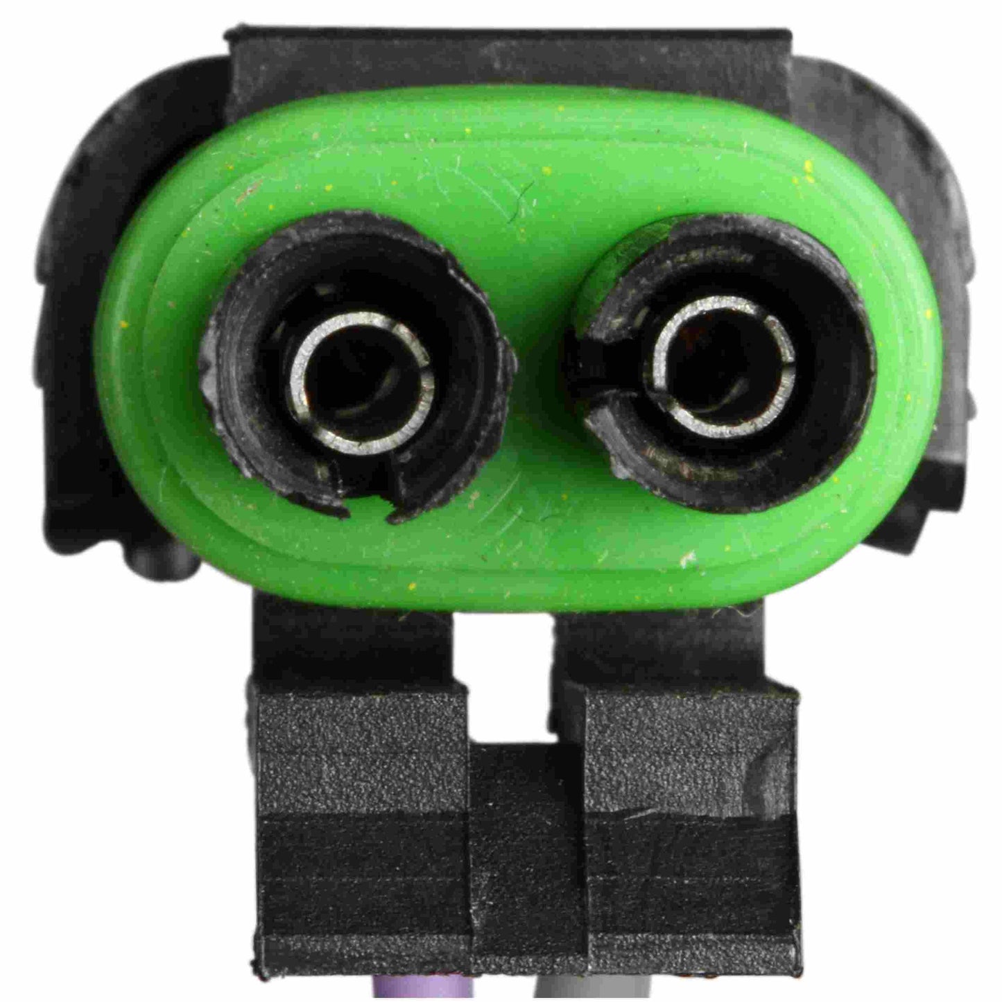 Delphi Fuel Pump Hanger Assembly HP10041