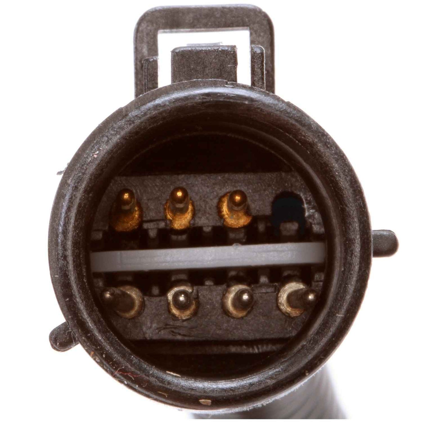 Delphi Fuel Pump Hanger Assembly HP10134
