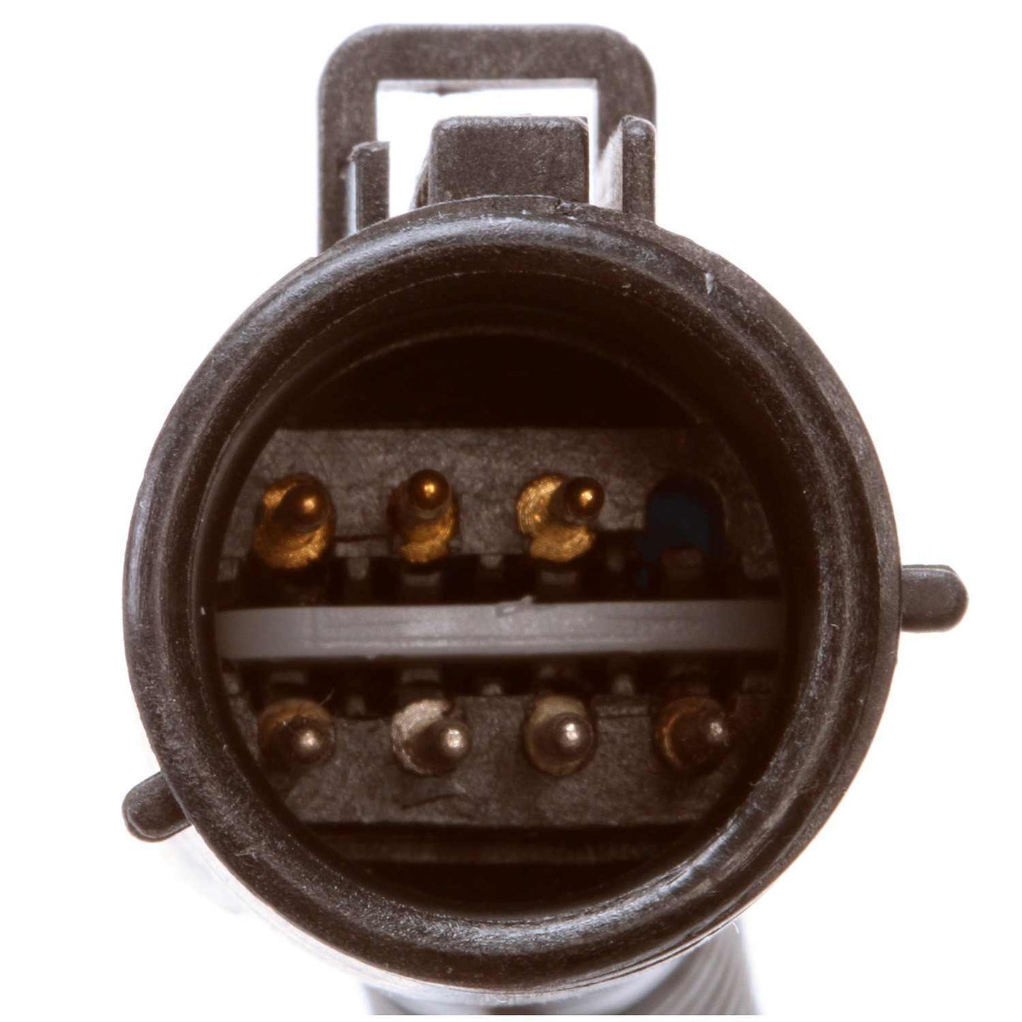 Delphi Fuel Pump Hanger Assembly HP10135