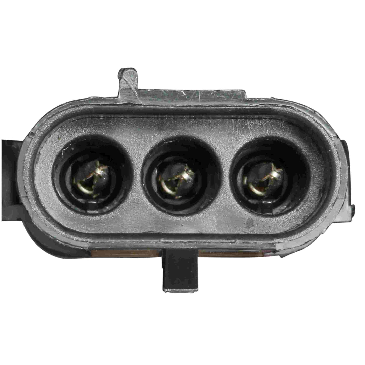 Delphi Fuel Pump Hanger Assembly HP10148
