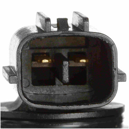 Delphi Fuel Pump Hanger Assembly HP10201