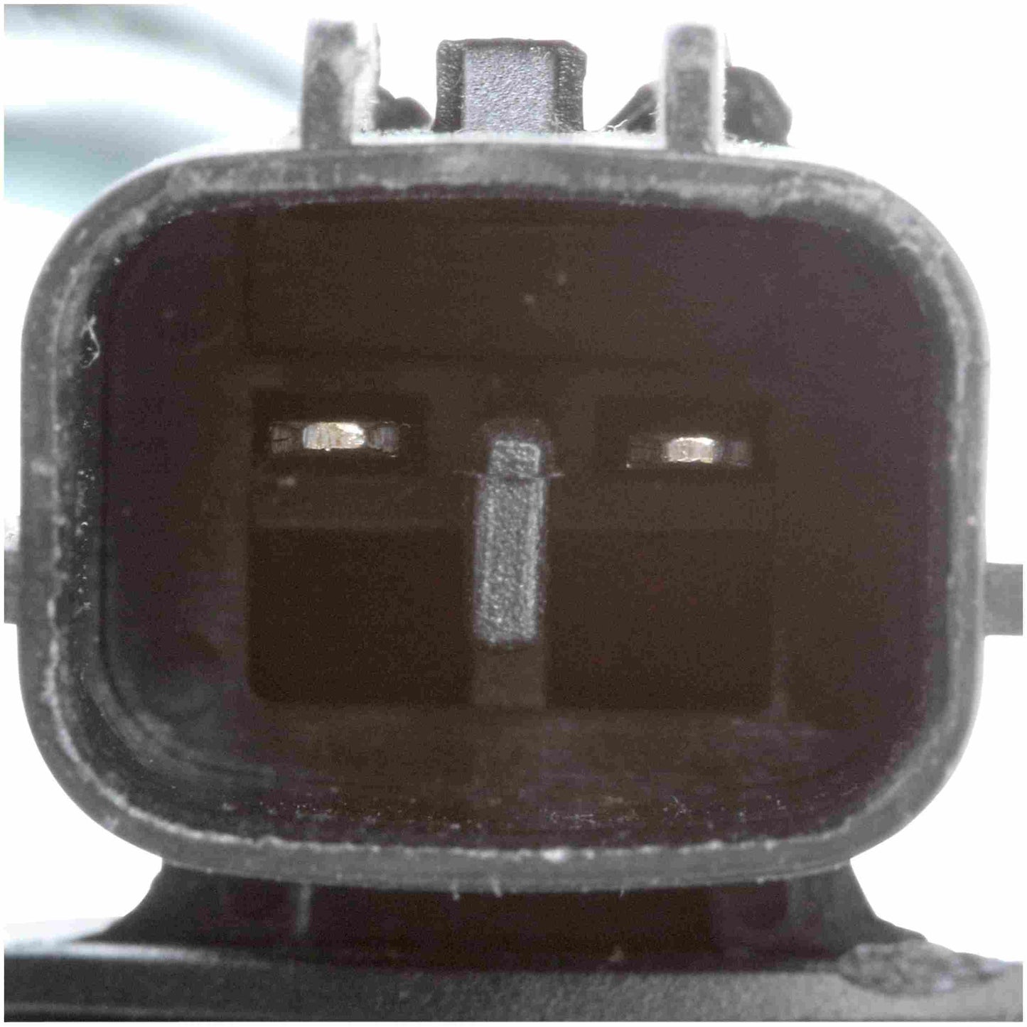 Delphi Fuel Pump Hanger Assembly HP10206