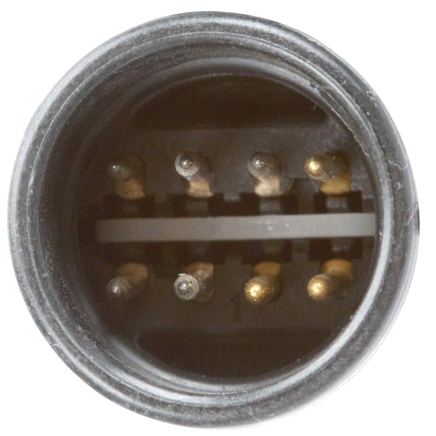 Delphi Fuel Pump Hanger Assembly HP10226