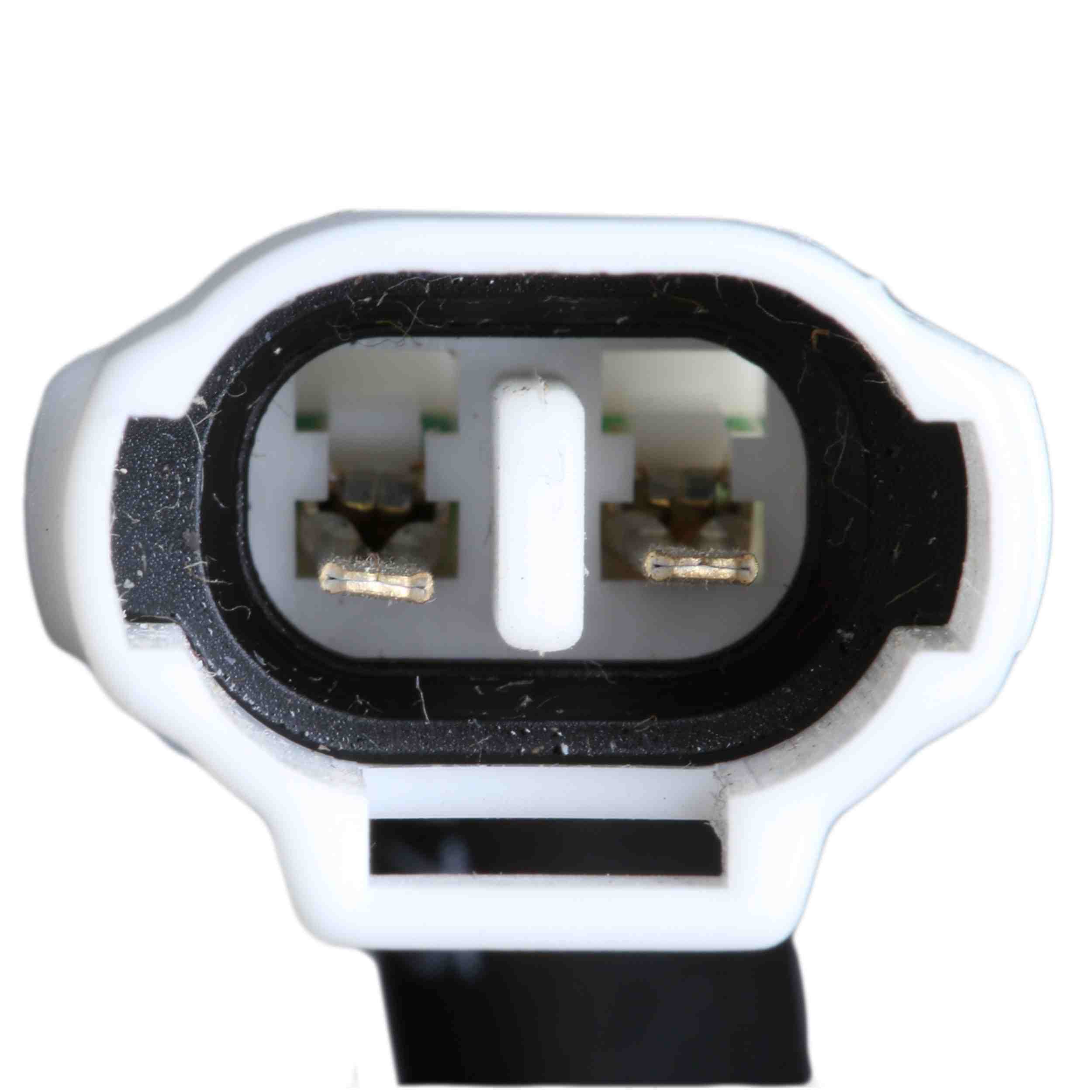 Delphi Fuel Pump Hanger Assembly HP10242