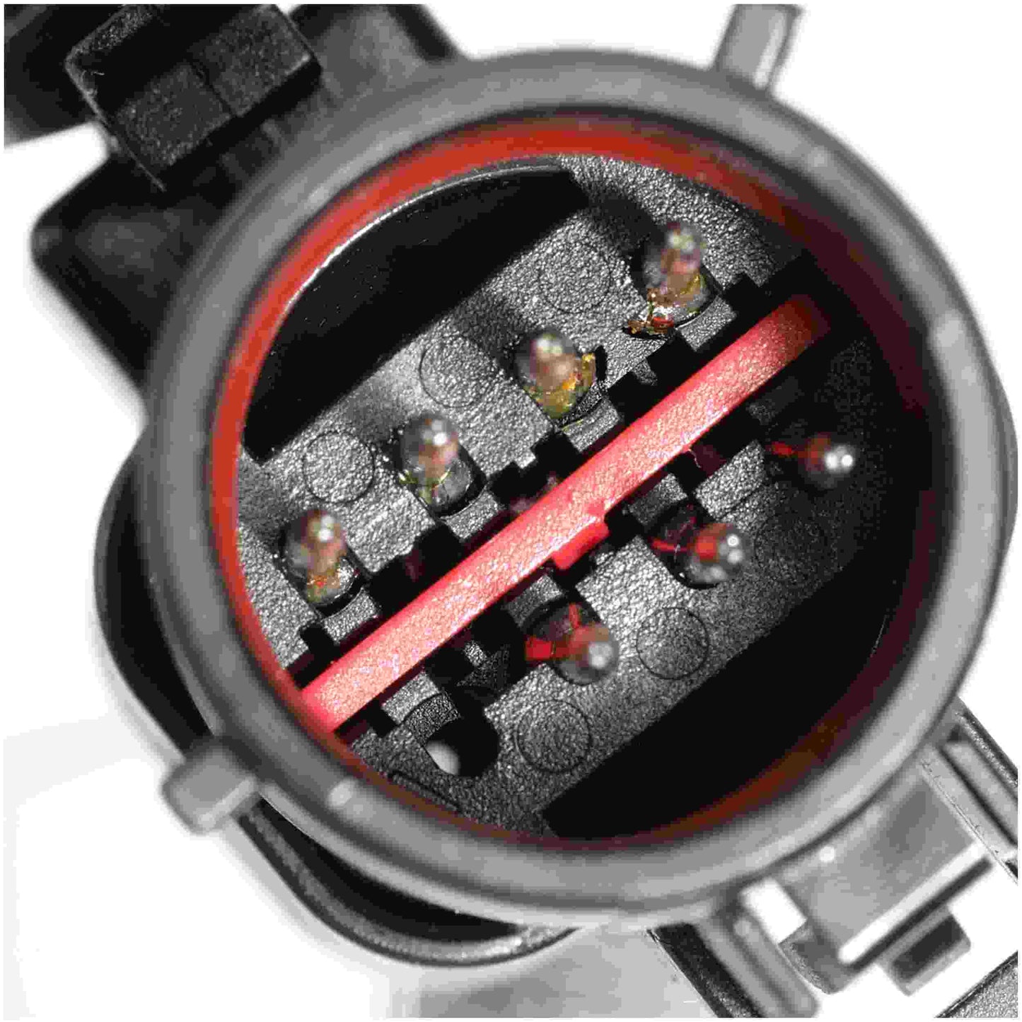Delphi PN3061