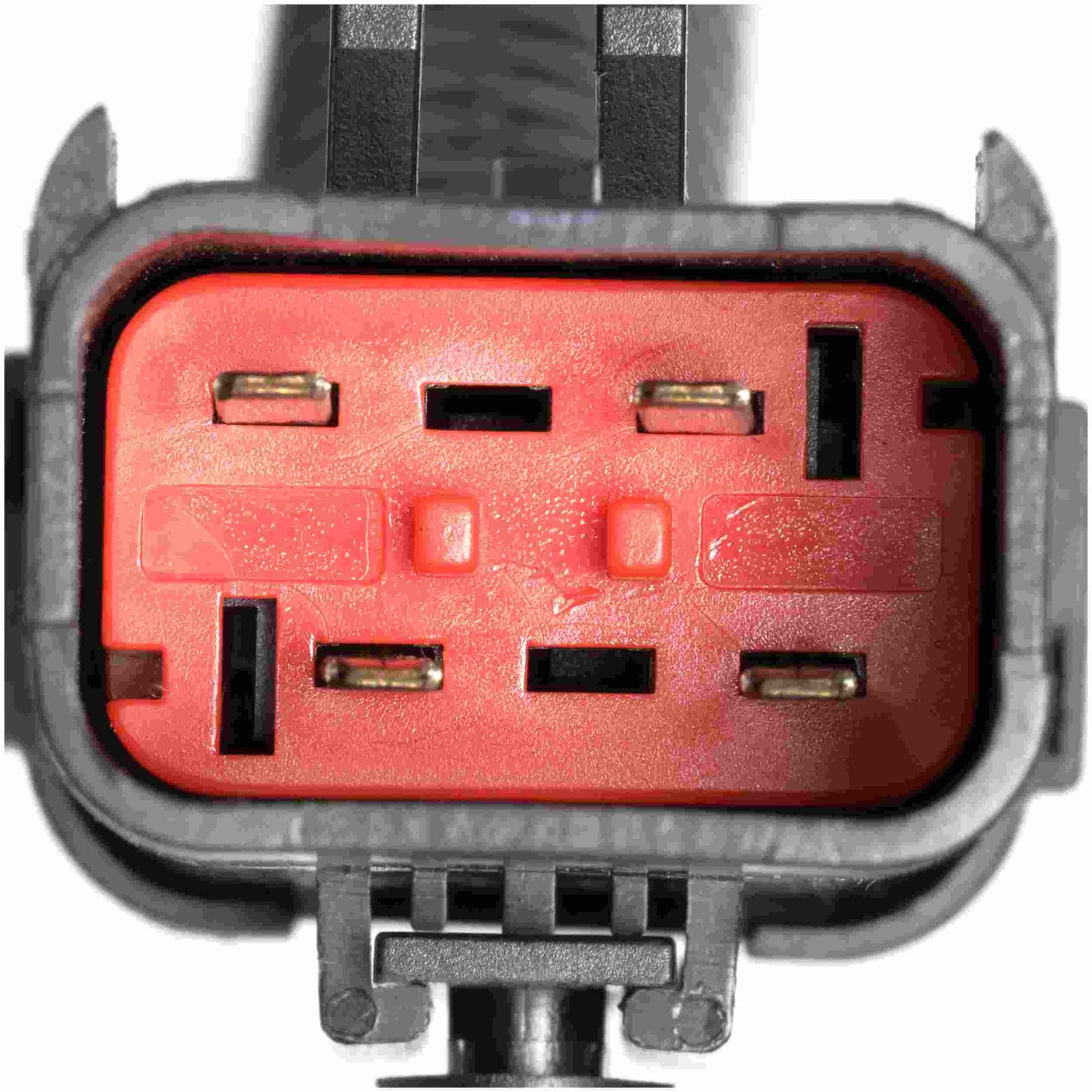 Delphi PN3118