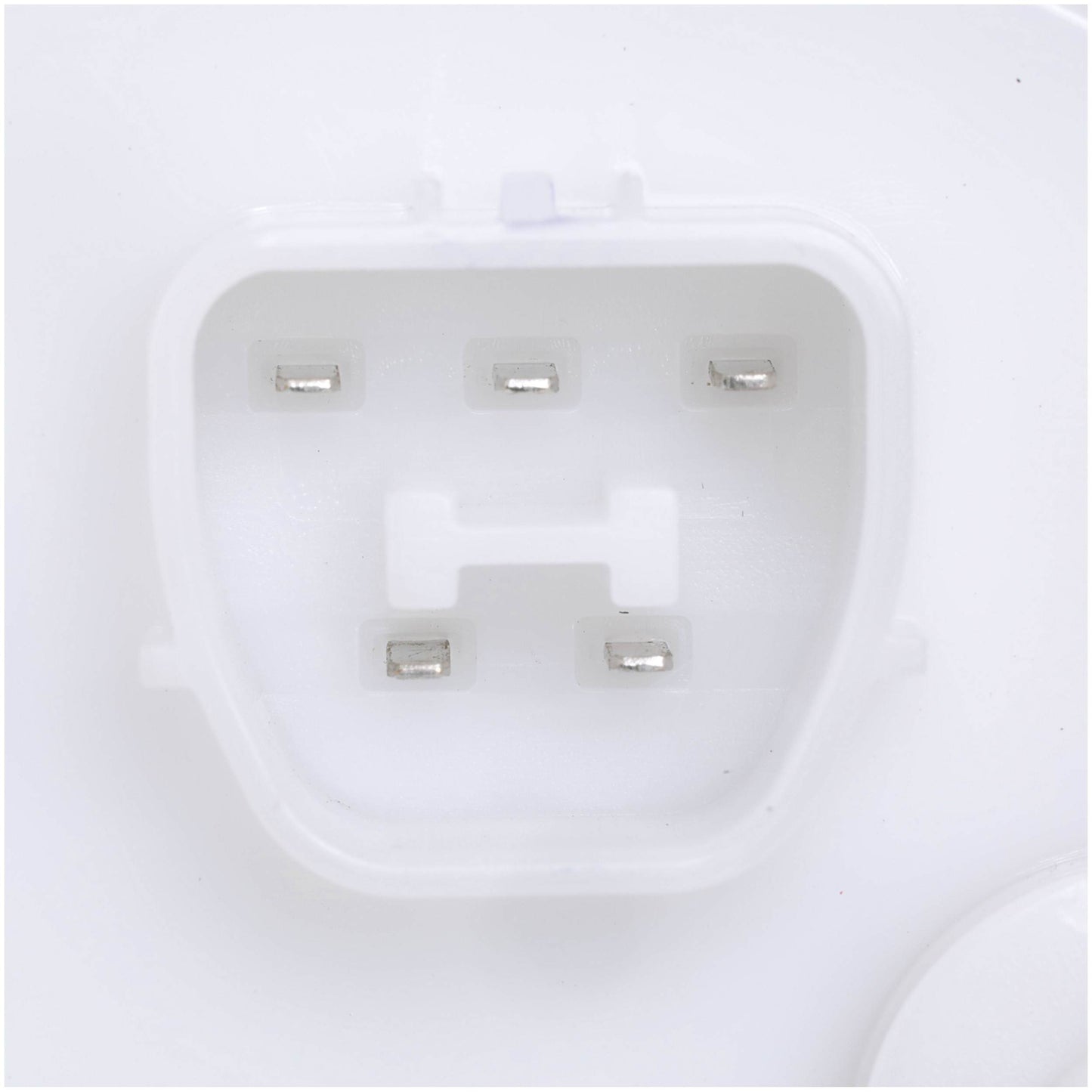 Delphi PN3170